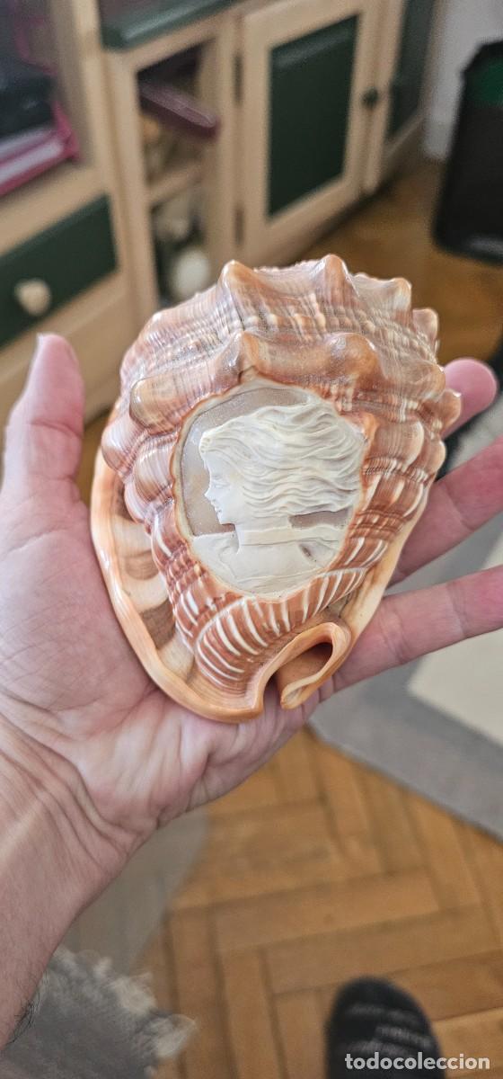 Arte: Preciosa caracola tallada mujer