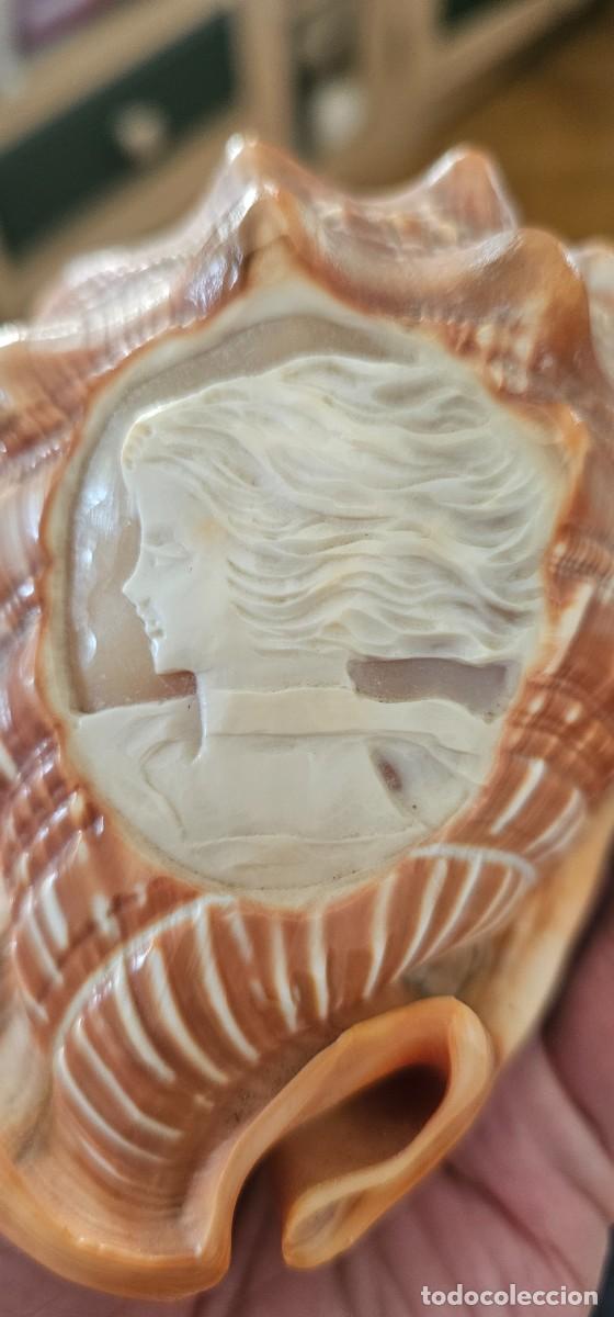 Arte: Preciosa caracola tallada mujer - Foto 5