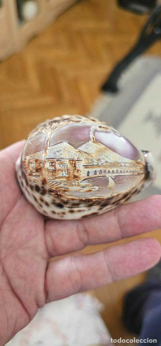 Arte: Preciosa escultura talla concha vesubio