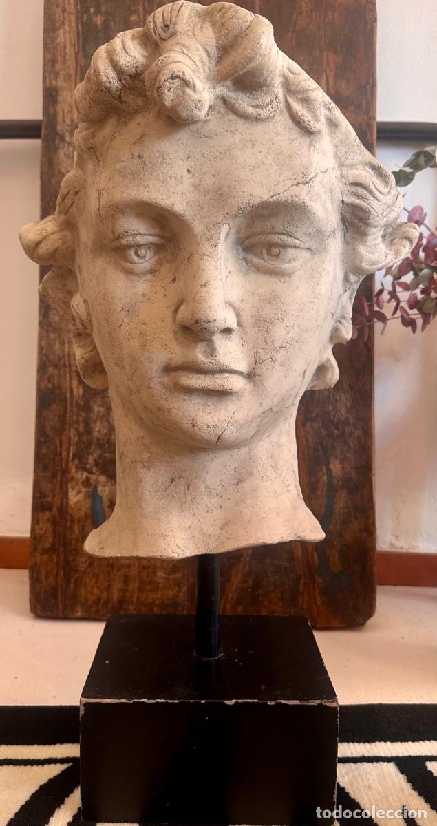 Arte: Busto del David de Miguel &Aacute;ngel &mdash; fragmento escult&oacute;rico