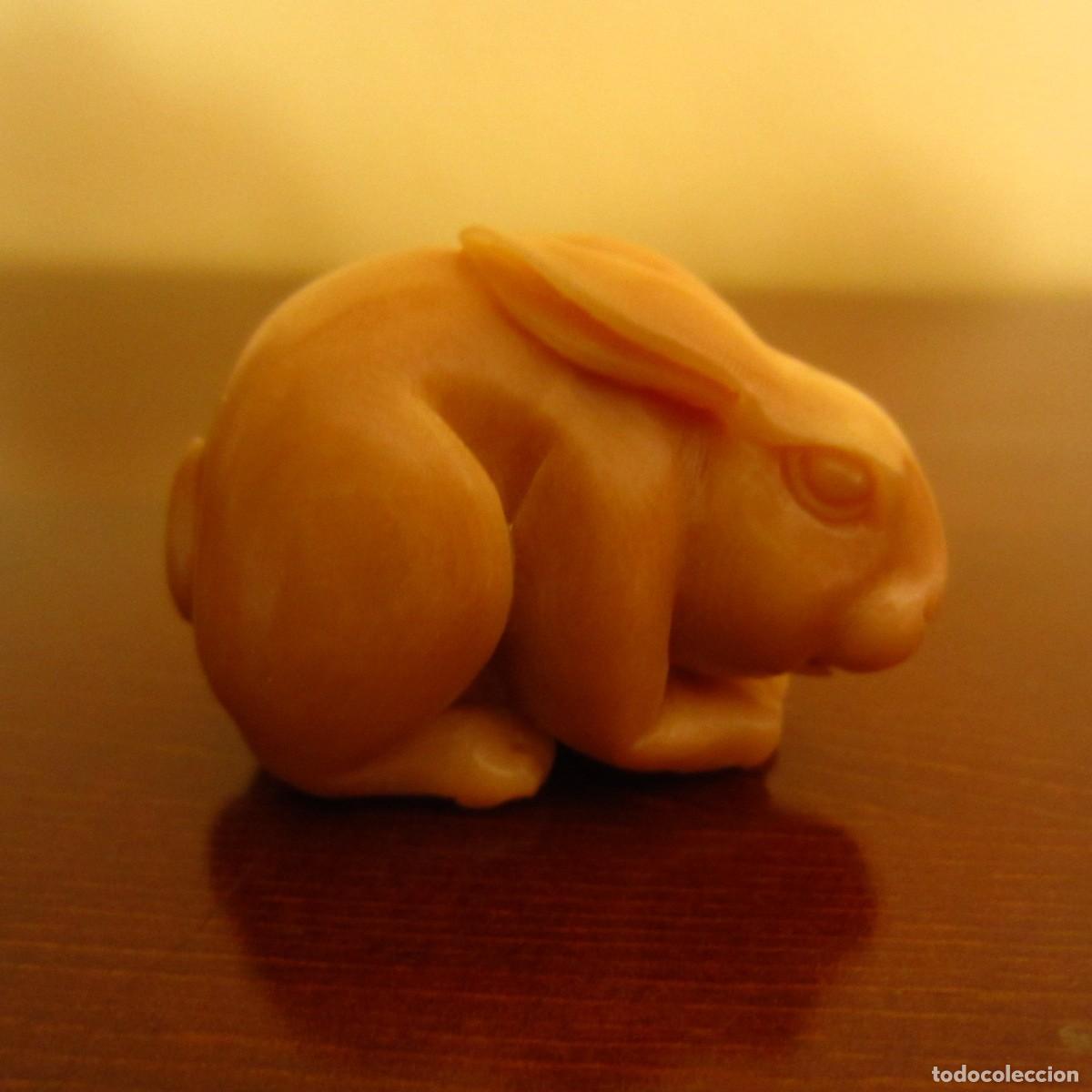 Arte: antiguo netsuke figura conejo tallado en nuez de tagua