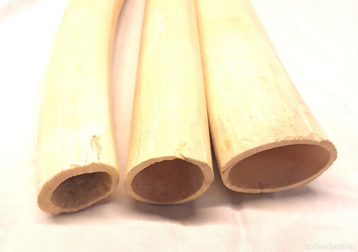 Arte: Colmillos Marfil Ivory Hueso. - Foto 3