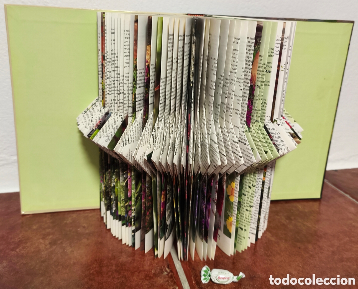 Arte: book folding (o arte de plegado de libros). - Foto 2