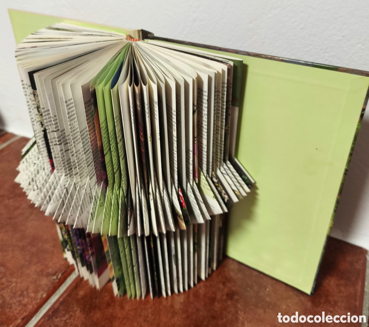 Arte: book folding (o arte de plegado de libros). - Foto 3