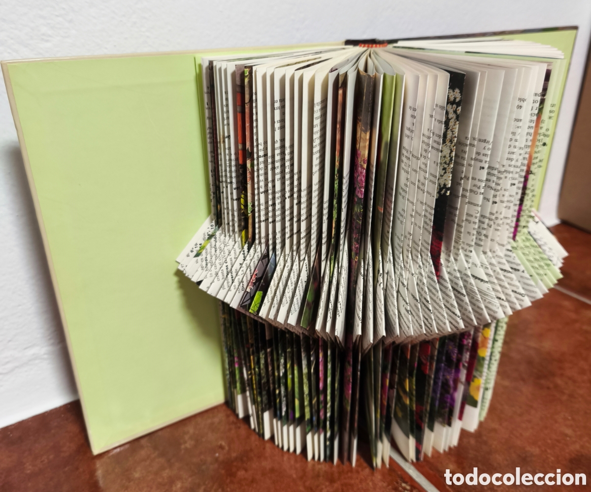 Arte: book folding (o arte de plegado de libros).