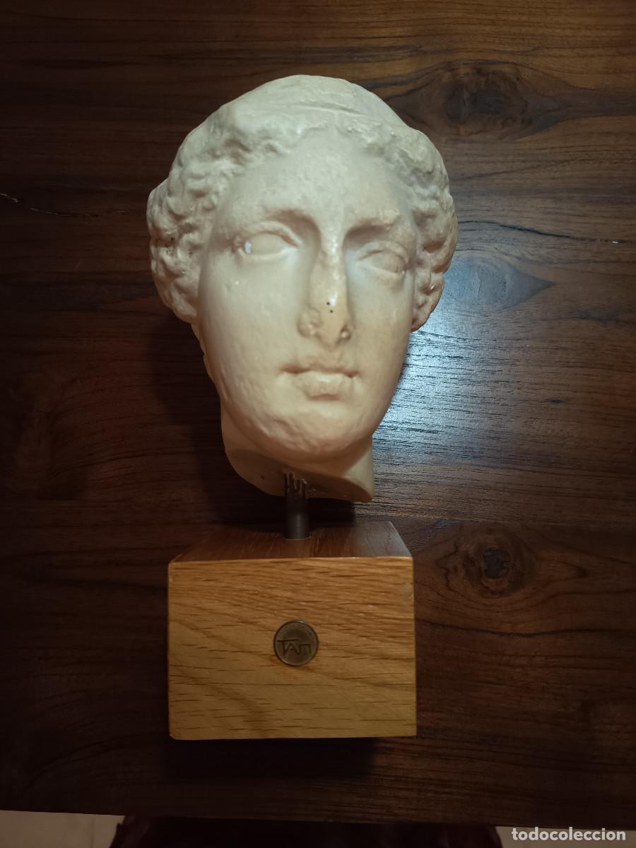 Arte: Busto de Agripina de yeso. Museo de la acr&oacute;polis