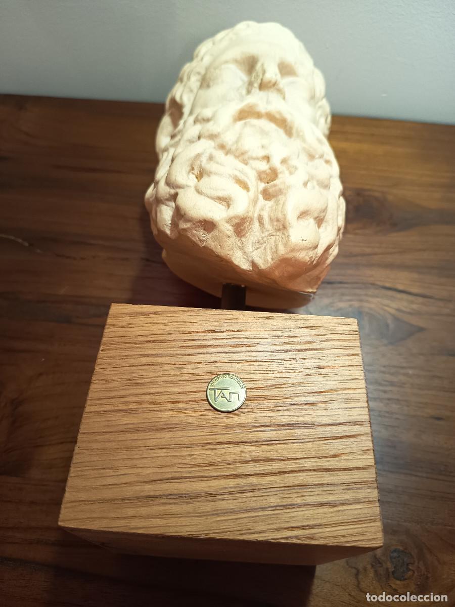 Arte: Busto de Zeus. Museo de la acr&oacute;polis - Foto 6