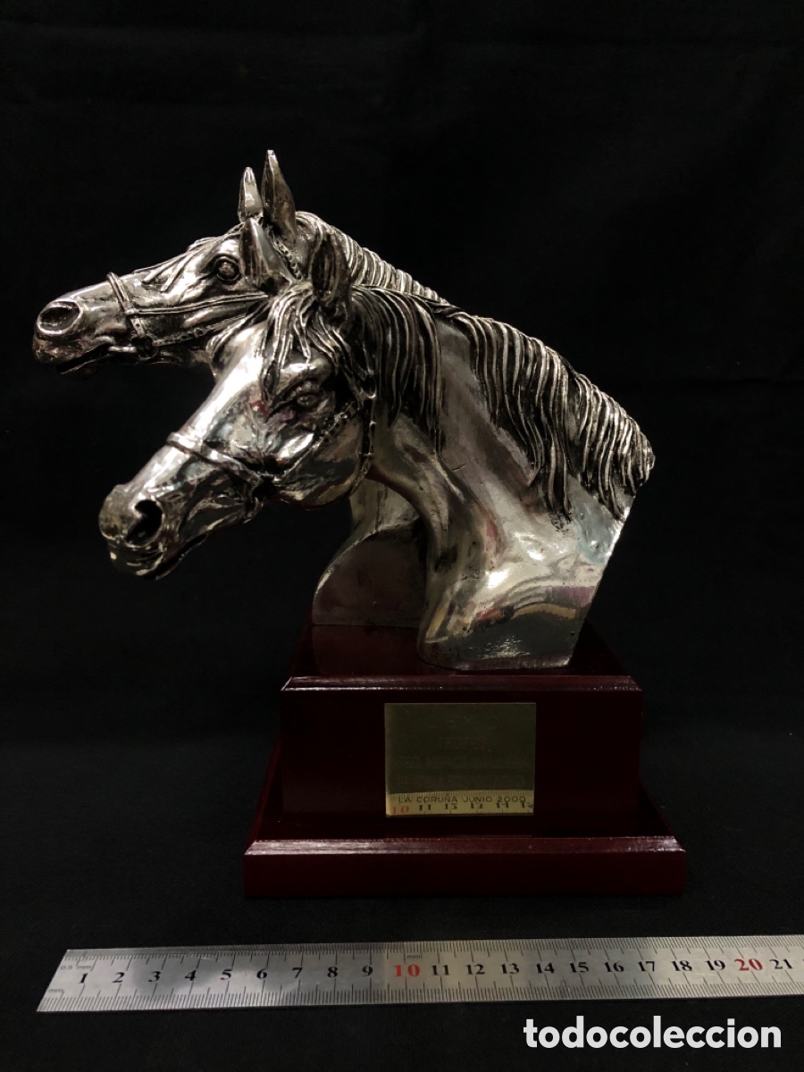 Arte: Antiguo Trofeo H&iacute;pico C.S.N.C. - Federaci&oacute;n H&iacute;pica Gallega (La Coru&ntilde;a, Junio 2000) - 1o Clasificado