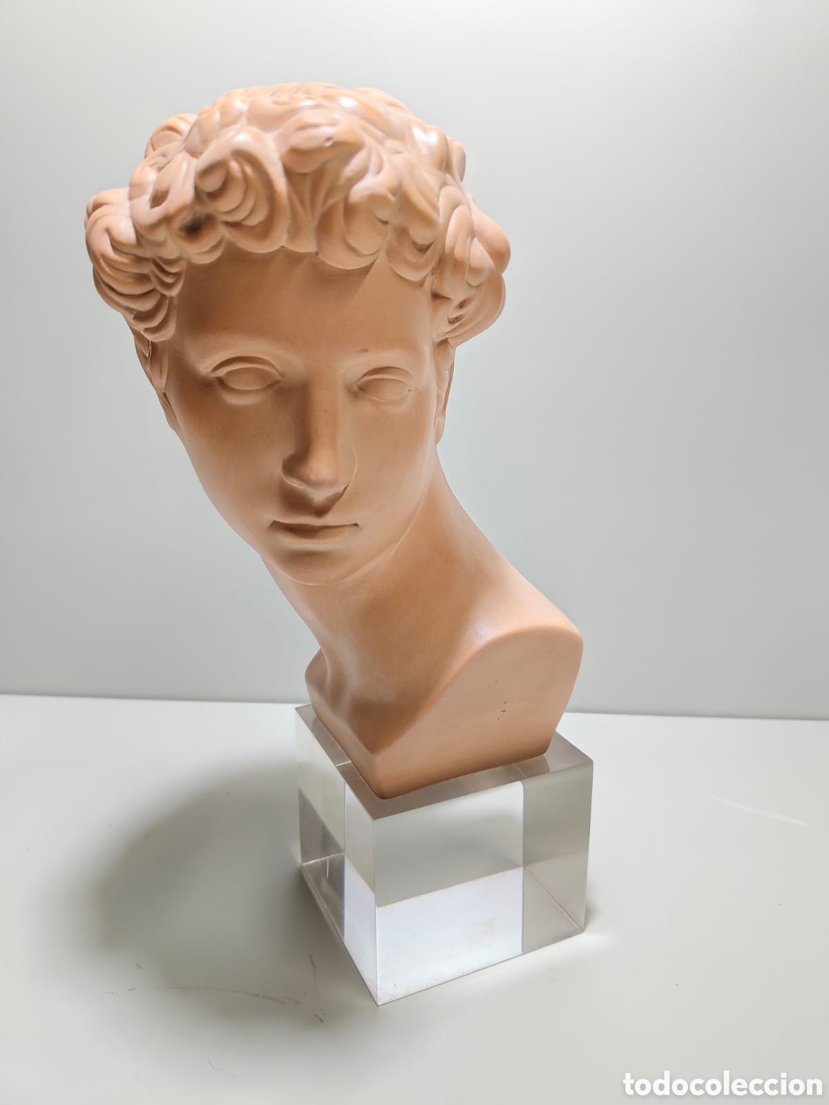 Kunst: Escultura busto del Miguel &Aacute;ngel sobre base de metacrilato