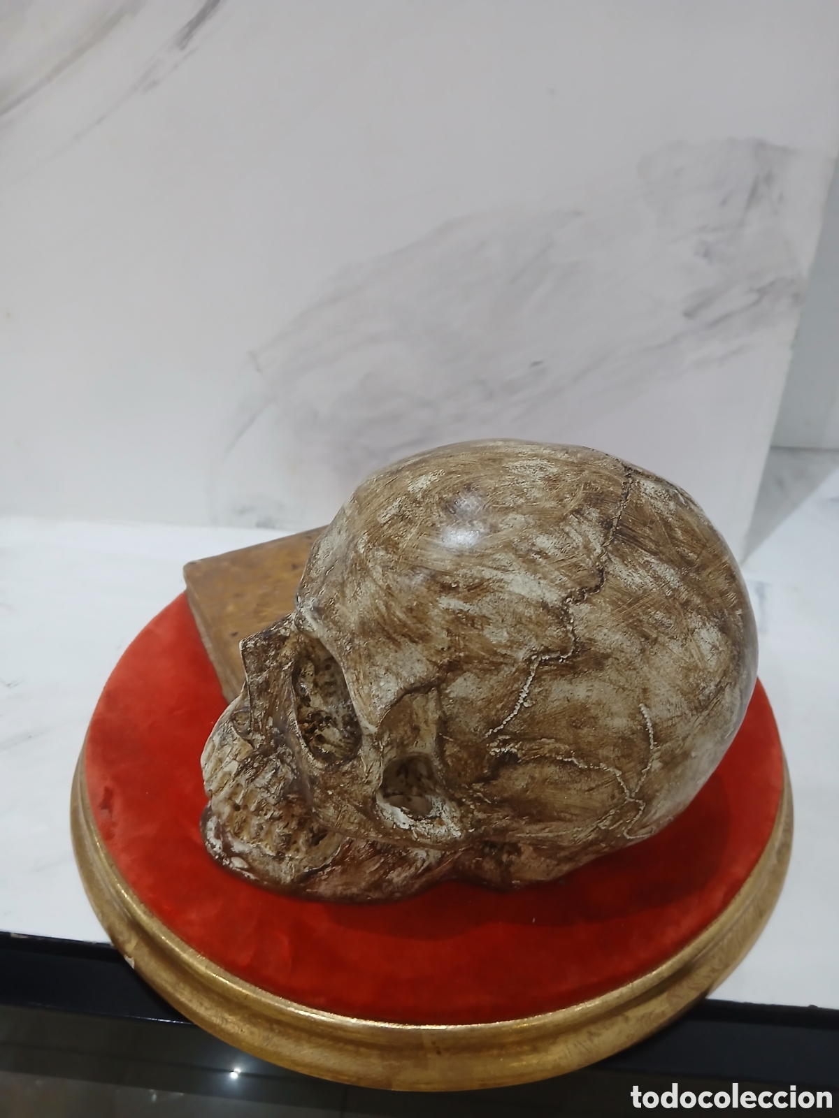 Arte: Escultura estuco con libro antiguo - Foto 2