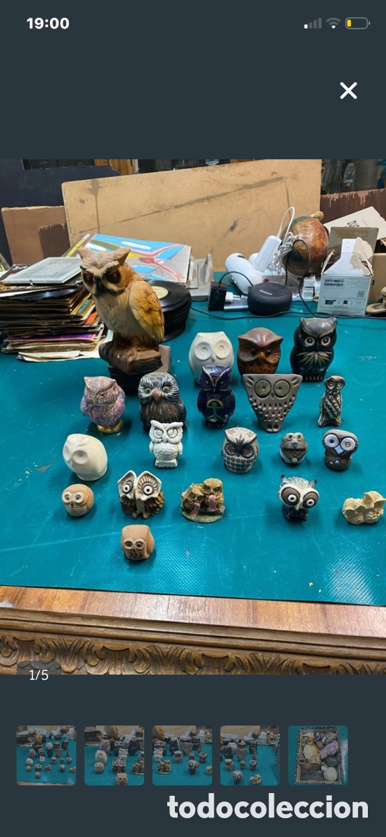 Arte: Colecci&oacute;n de b&uacute;hos hay m&aacute;s de 20 unidades