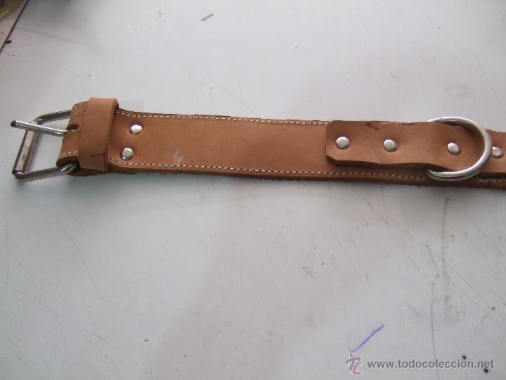 Artesan&iacute;a: COLLAR PERRO ANCHO 4CM - Foto 1