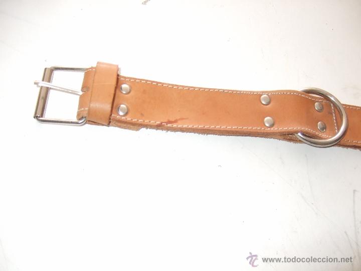 Artesan&iacute;a: COLLAR PERRO 5CM - Foto 1