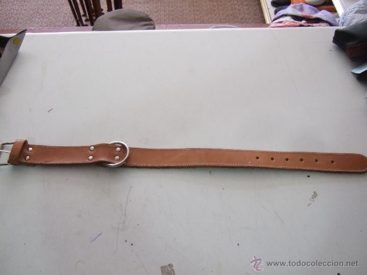 Artesan&iacute;a: COLLAR PERRO 5CM - Foto 2