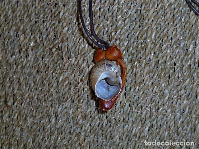 Artesan&iacute;a: Collar concha caracol con forma de Buho - Foto 2