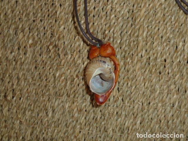 Artesan&iacute;a: Collar concha caracol con forma de Buho - Foto 6