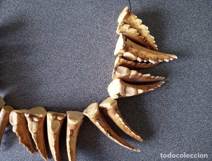 Artesanía: Collar crustaceo fósiles - Foto 4 - 253739015