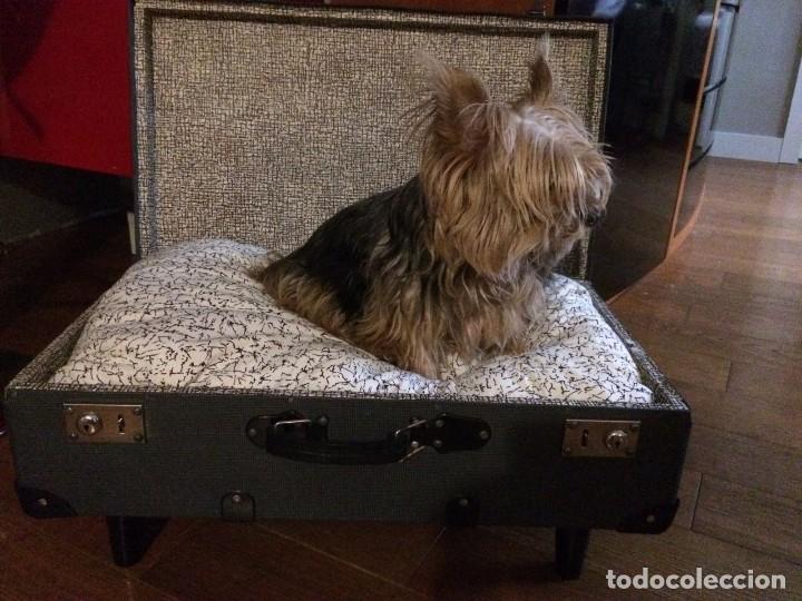 Artesan&iacute;a: CAMA ORIGINAL PARA MASCOTA - Foto 1