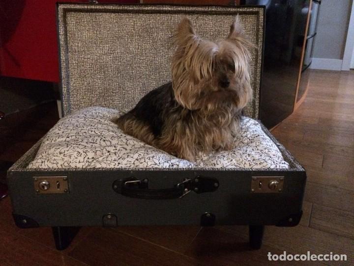 Artesan&iacute;a: CAMA ORIGINAL PARA MASCOTA - Foto 4