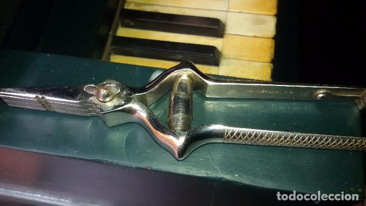 Artesan&iacute;a: Masticado carrier - Foto 4