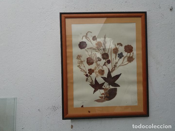 Artesan&iacute;a: cuadro de flores secas - Foto 1