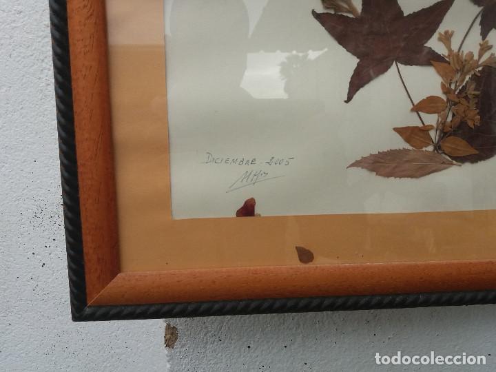 Artesan&iacute;a: cuadro de flores secas - Foto 2