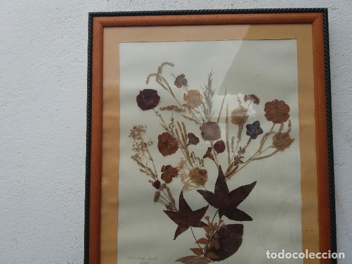 Artesan&iacute;a: cuadro de flores secas - Foto 3