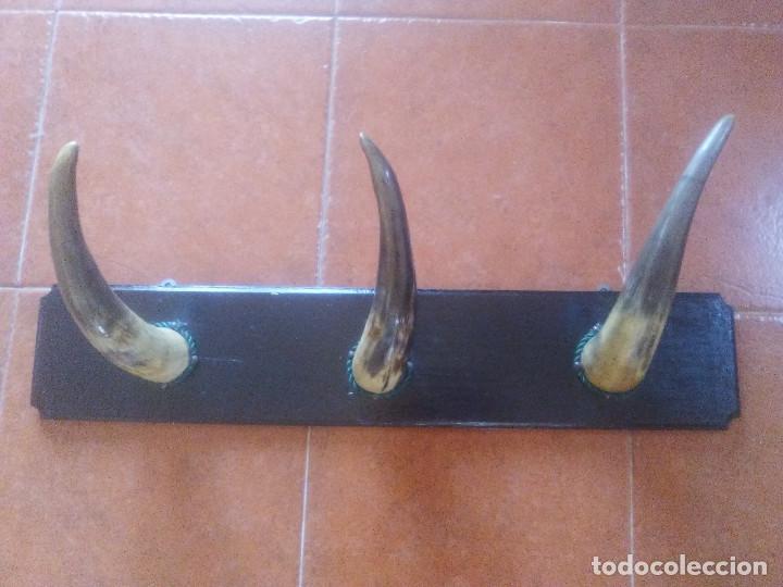 Artesan&iacute;a: Percha de asta de toro - Foto 1