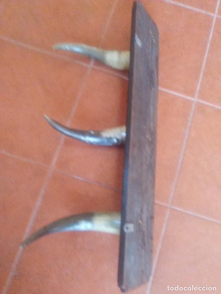 Artesan&iacute;a: Percha de asta de toro - Foto 2