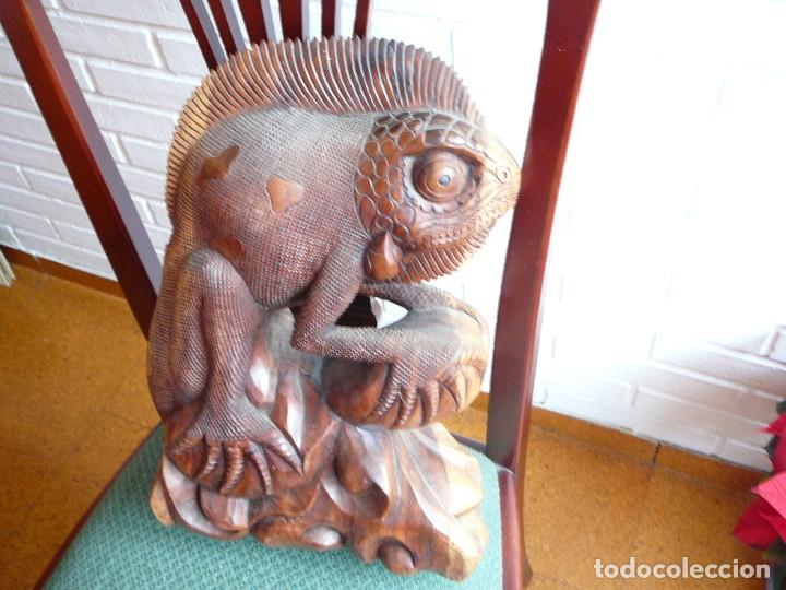 Artesan&iacute;a: Talla en madera de una iguana - Foto 2