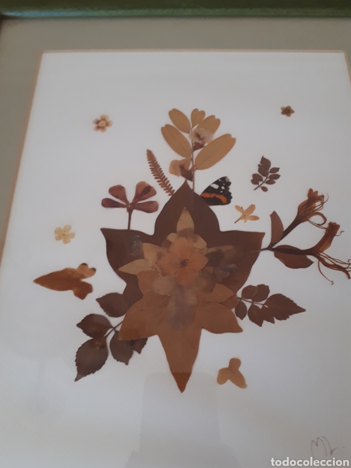 Artesan&iacute;a: Cuadro hojas y flores secas - Foto 2