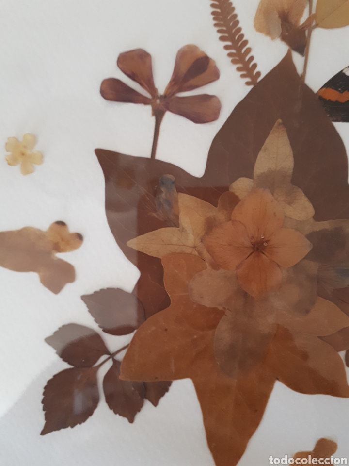 Artesan&iacute;a: Cuadro hojas y flores secas - Foto 5