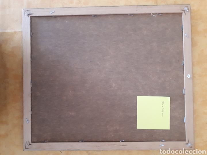 Artesan&iacute;a: Cuadro hojas y flores secas - Foto 6