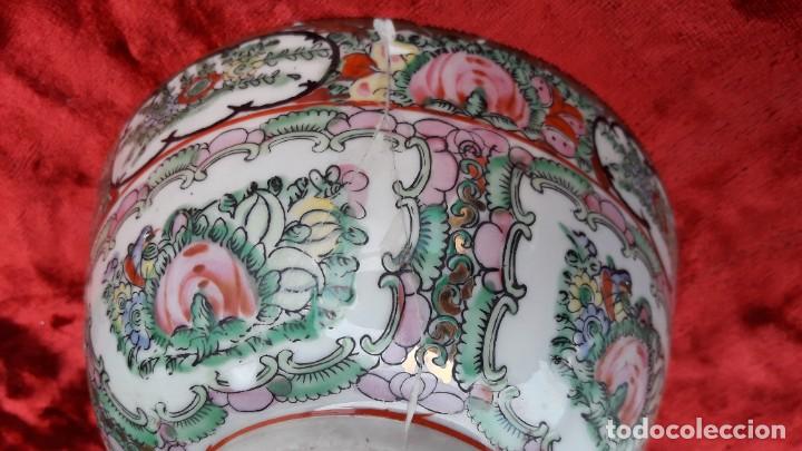 Artesan&iacute;a: Cienco - Foto 5