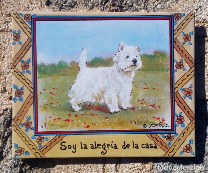 Artesan&iacute;a: Azulejo perro Westy - Foto 1