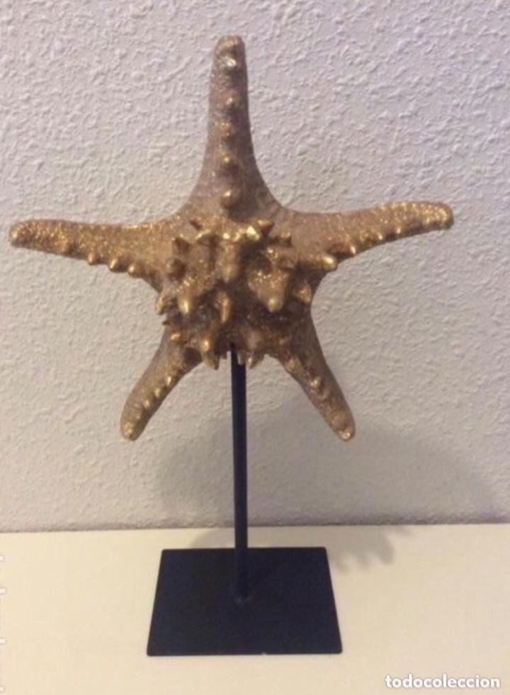 Artesan&iacute;a: Estrella sin estrenar - Foto 1