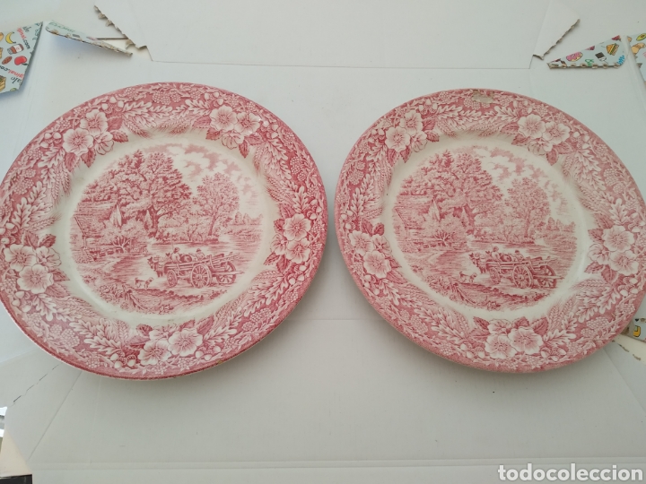 Artesan&iacute;a: Platos de cer&aacute;mica - Foto 2