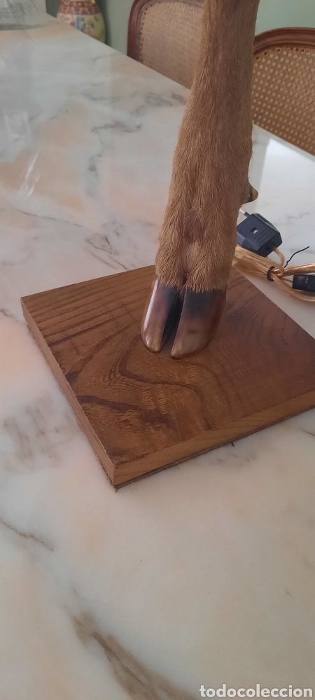Artesan&iacute;a: L&aacute;mpara de pie de ciervo - Foto 2