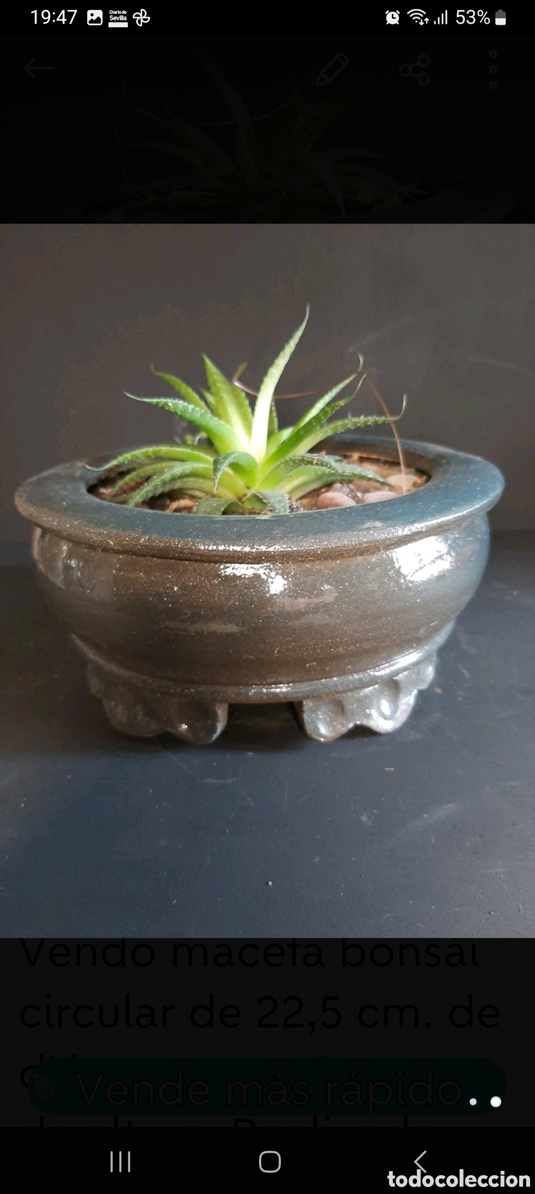 Artesan&iacute;a: Maceta para bons&aacute;i - Foto 2