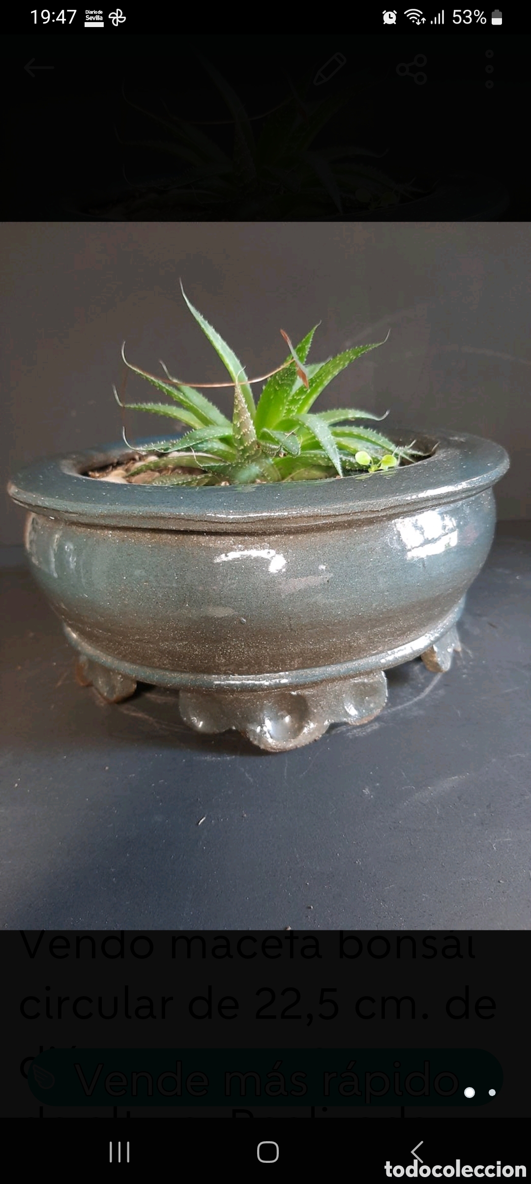 Artesan&iacute;a: Maceta para bons&aacute;i - Foto 1