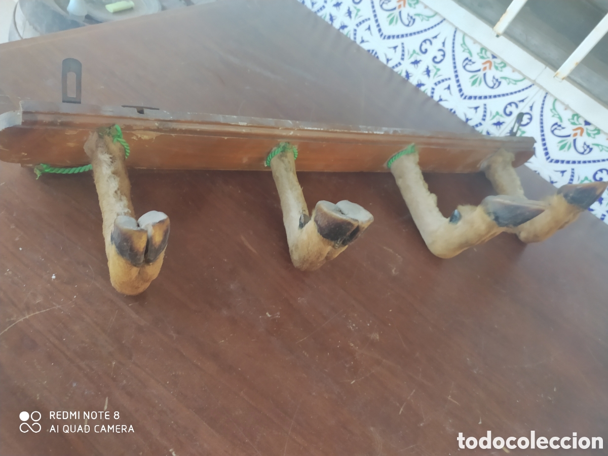 Artesan&iacute;a: Perchero de Pezu&ntilde;as de Venado - Foto 2