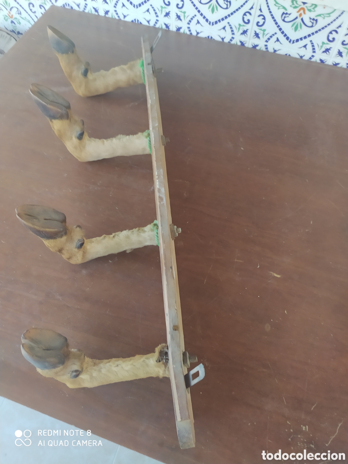 Artesan&iacute;a: Perchero de Pezu&ntilde;as de Venado - Foto 4