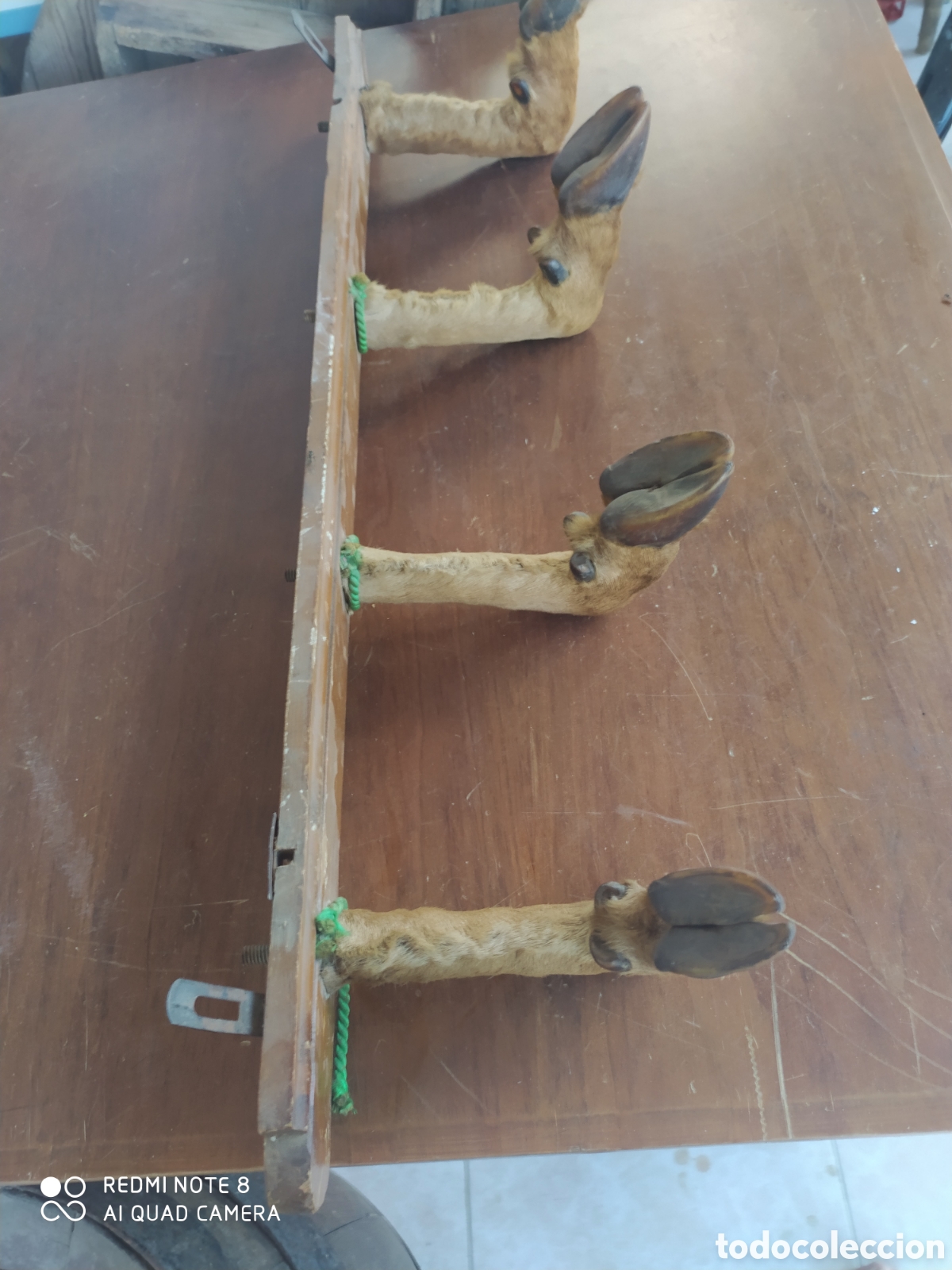 Artesan&iacute;a: Perchero de Pezu&ntilde;as de Venado - Foto 5
