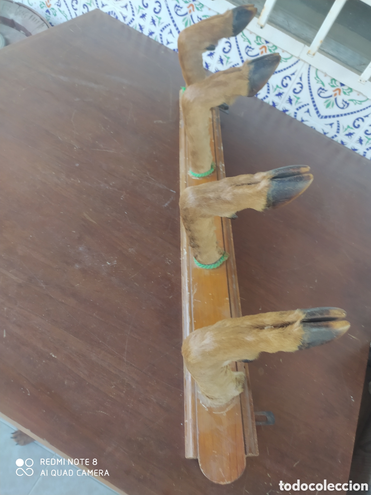Artesan&iacute;a: Perchero de Pezu&ntilde;as de Venado - Foto 6