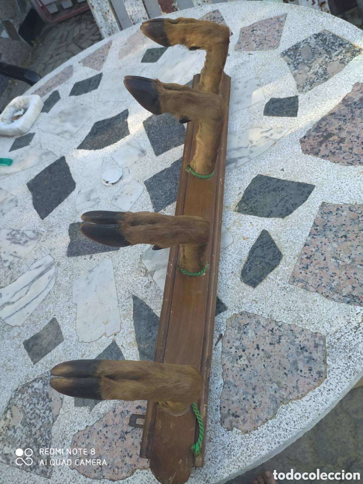Artesan&iacute;a: Perchero de Pezu&ntilde;as de Venado - Foto 8