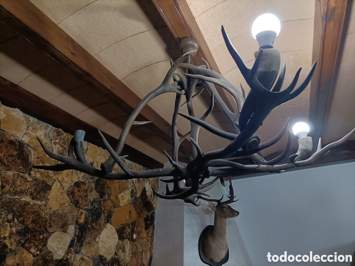 Artesan&iacute;a: Lamparas de astas - Foto 3