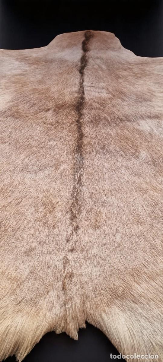 Artesan&iacute;a: Piel de cabra con pelos - Foto 2