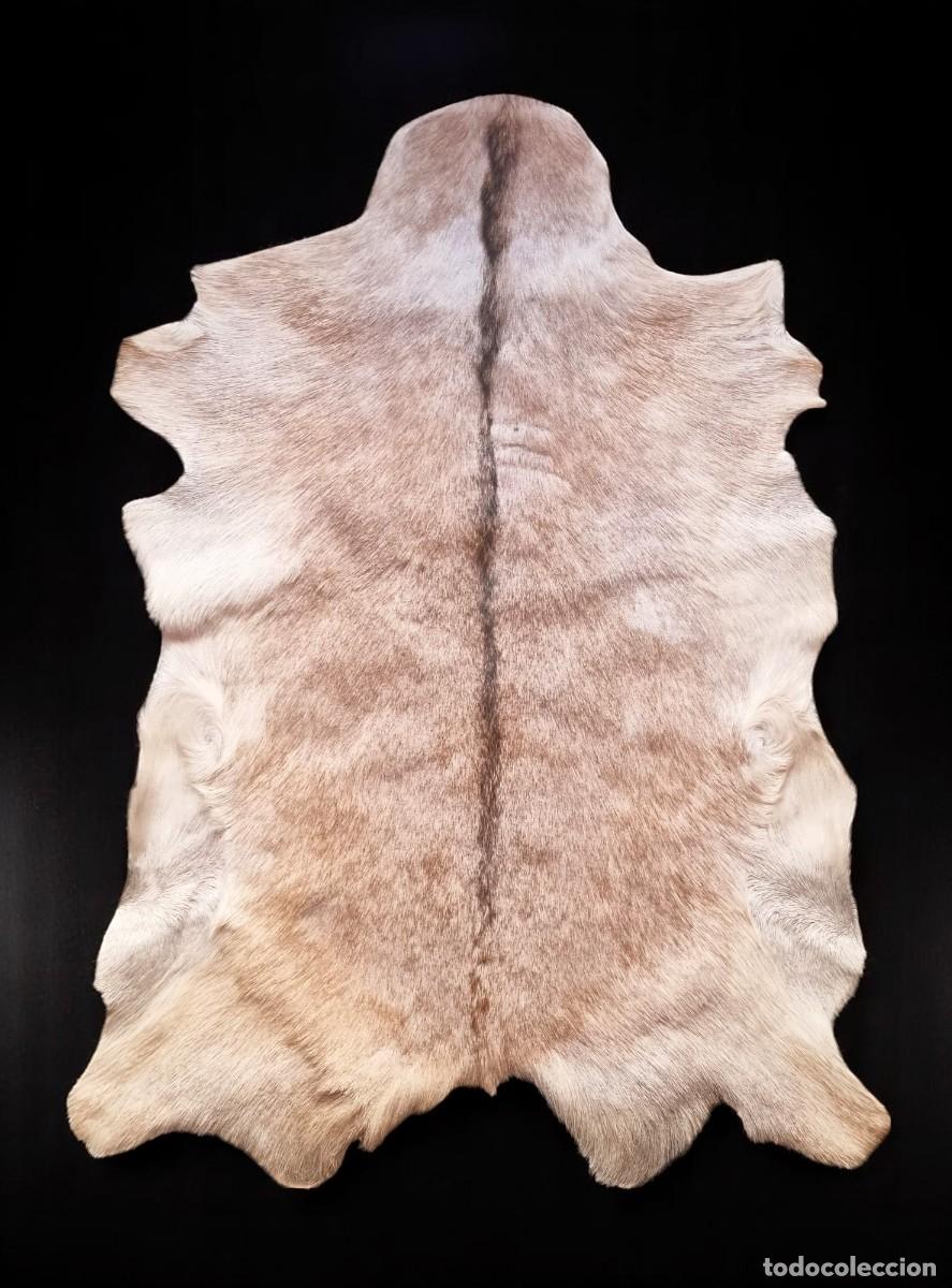 Artesan&iacute;a: Piel de cabra con pelos - Foto 1