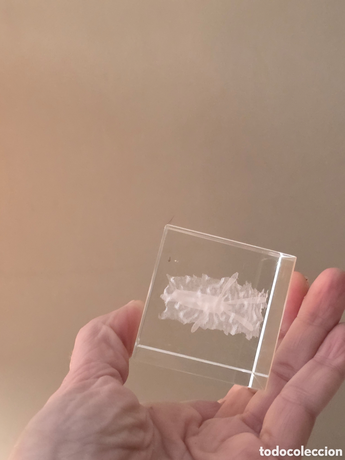 Artesan&iacute;a: Holograma 3D Impecable - Foto 6