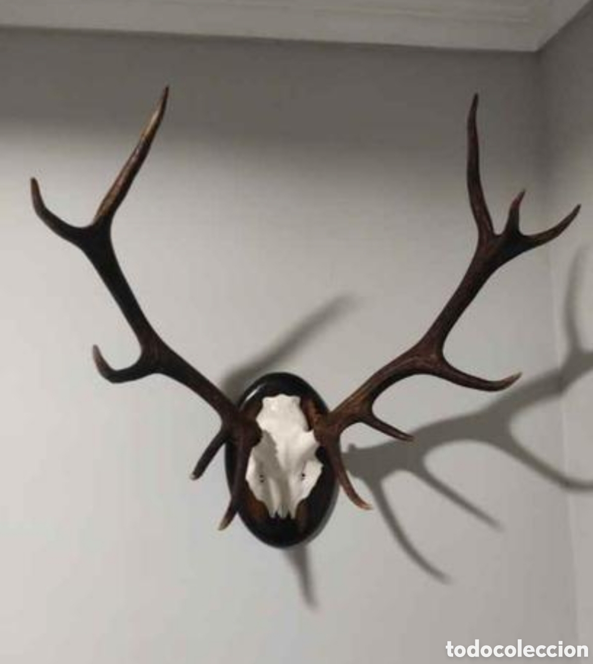Artesan&iacute;a: Ciervo decorativo para casa - Foto 1